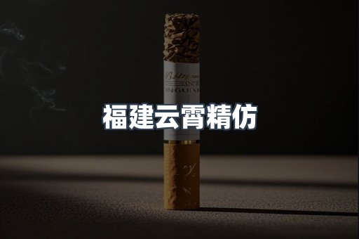 福建云霄精仿
